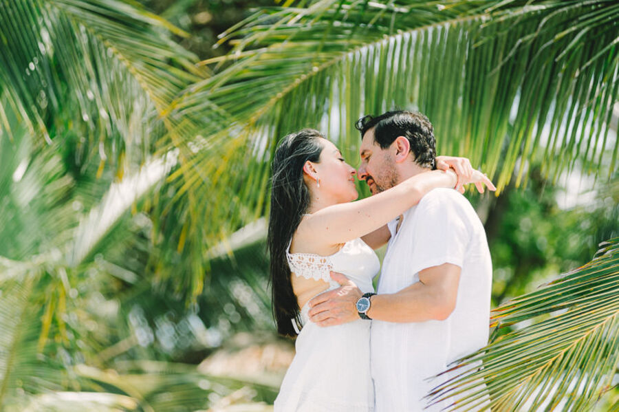 Descripción de la imagen 32